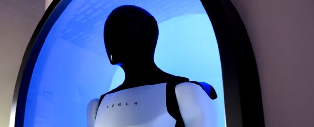 Tesla Robot
