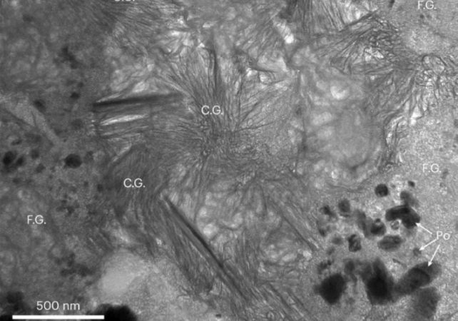 bennu under a microscope