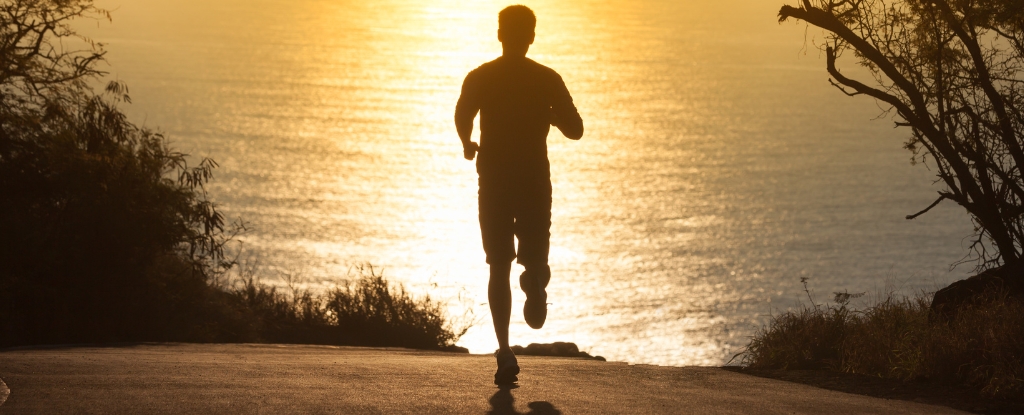 Surprise Discovery of Elevated Cancer Risk in Elite Runners Can Be Explained : ScienceAlert