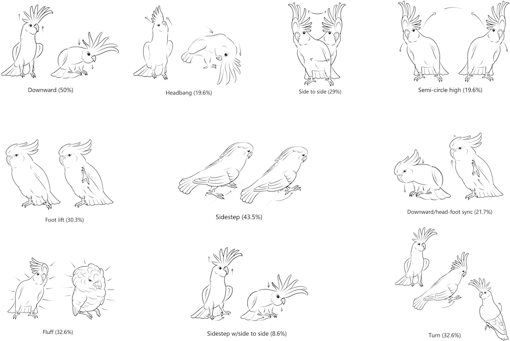 line drawings showing cockatoo dance moves 