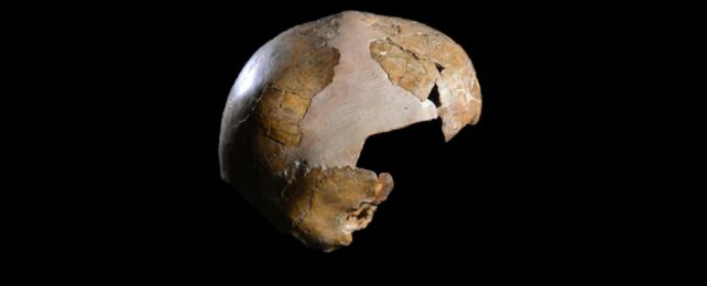 This Skull Is The Oldest Physical Proof of Neanderthals in Your Bloodline