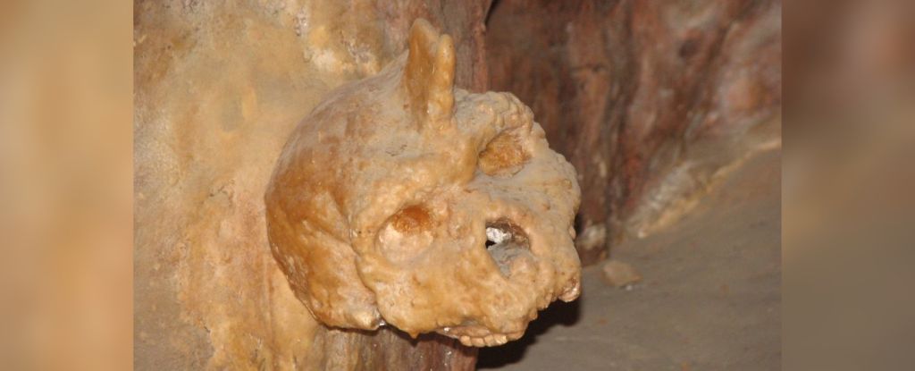 Mysterious Skull Fused to Cave Wall Could Belong to a Rare Human Species : ScienceAlert
