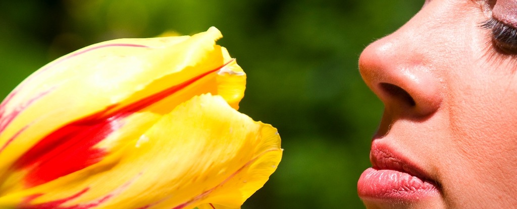 Losing Your Sense of Smell May Be An Early Sign of Alzheimer’s : ScienceAlert