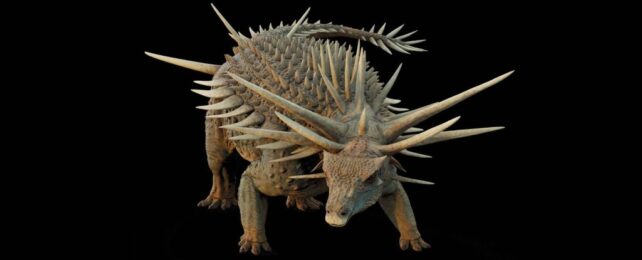 This Incredible Dinosaur Sported The Spikiest Armor The World Has Ever Seen