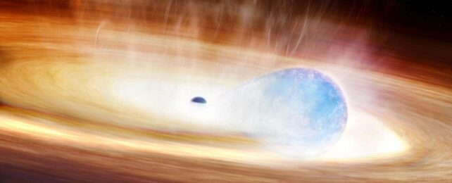 Star Trying to Swallow a Black Hole May Have Triggered a New Type of Supernova
