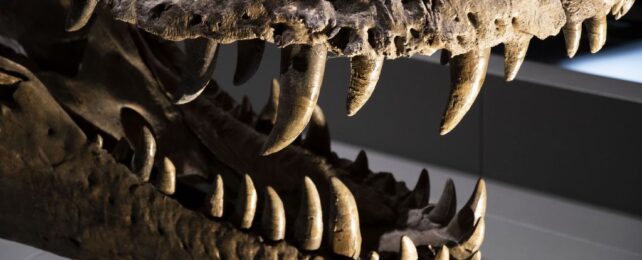 Prehistoric Air Has Been Reconstructed From Dinosaur Teeth in an Amazing First