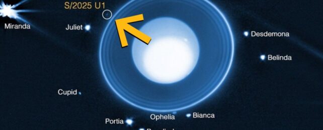 JWST Just Found a New Moon Hiding Around Uranus (And It's Tiny)