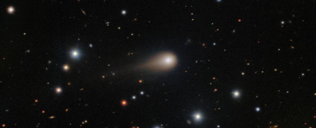 Images Show Interstellar Object 3I/ATLAS Is Now Growing a Tail : ScienceAlert