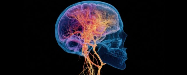Chronic Insomnia May Spark Changes in The Brain That Trigger Dementia