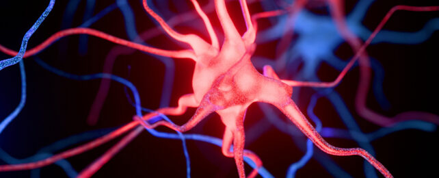 Bright neuron