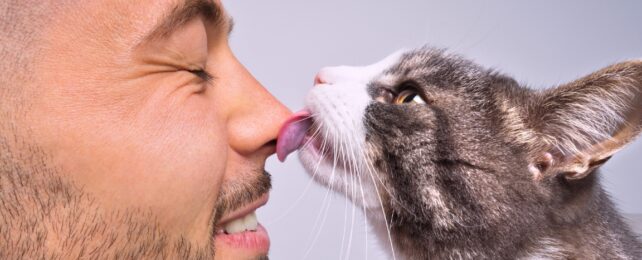 Studies Reveal The Best Ways to Chemically Bond With Your Cat