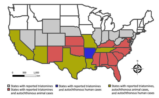 Kissing Bug Carrying Deadly Disease Is Now Spreading Across The US