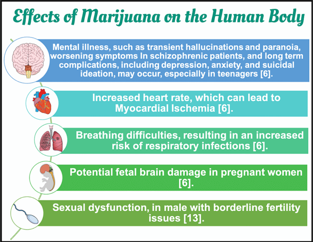 Cannabis Use Could Be Detrimental to Female Fertility