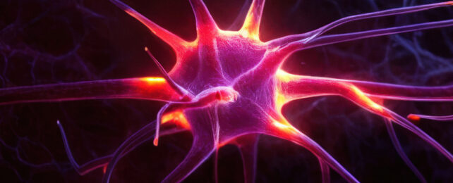 Firing neuron