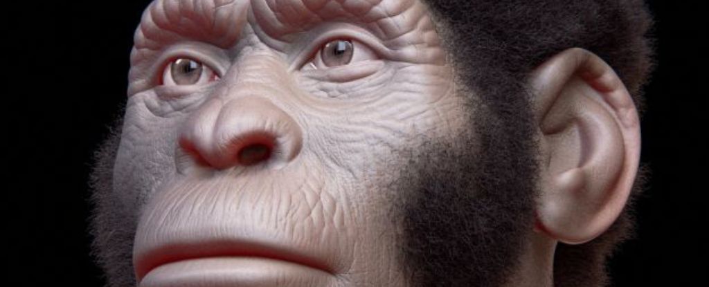 Did This Species Bury Its Dead 120,000 Years Before Us? New Claims Reignite Debate : ScienceAlert