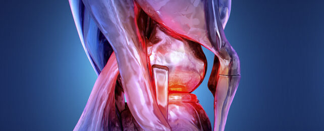 Knee pain