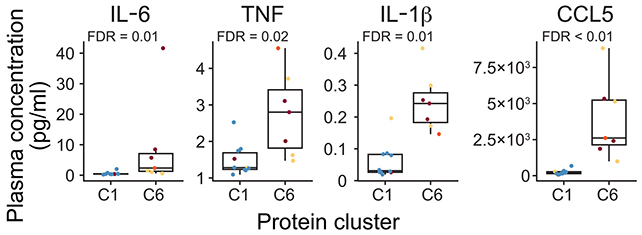 Inflammatory proteins