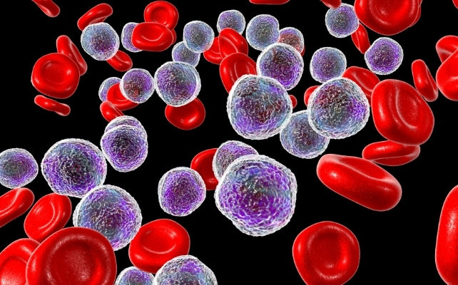 immune cells