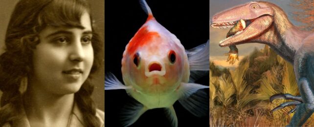This Week in Science: World's Second-Largest Diamond, Fishy Finger Origins, And More!