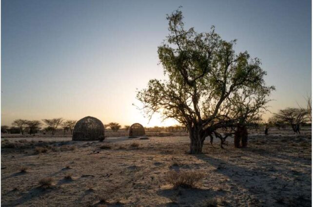 Traditional Turkana housing in the arid landscape