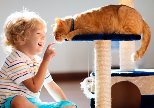 child playing with a cat