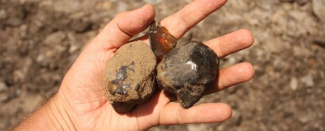 hand holding lumps of raw amber