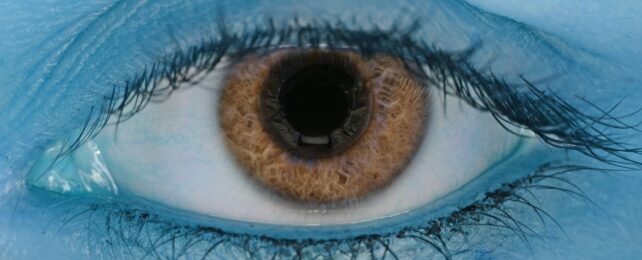brown eyes