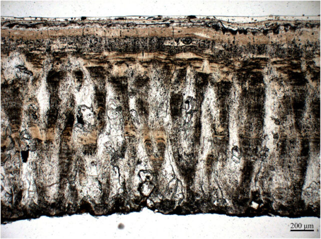 A textured brown material 