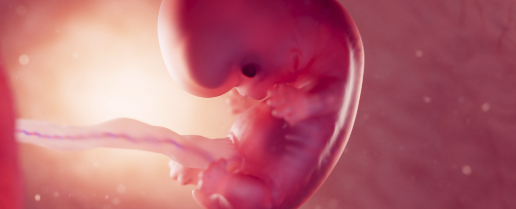 www.sciencealert.com image