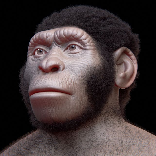 Naledi Face