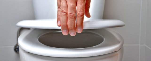 hand lifts toilet lid