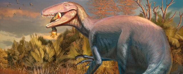 New 'Megaraptor' Species Found With Shocking Last Meal Still in Its Mouth