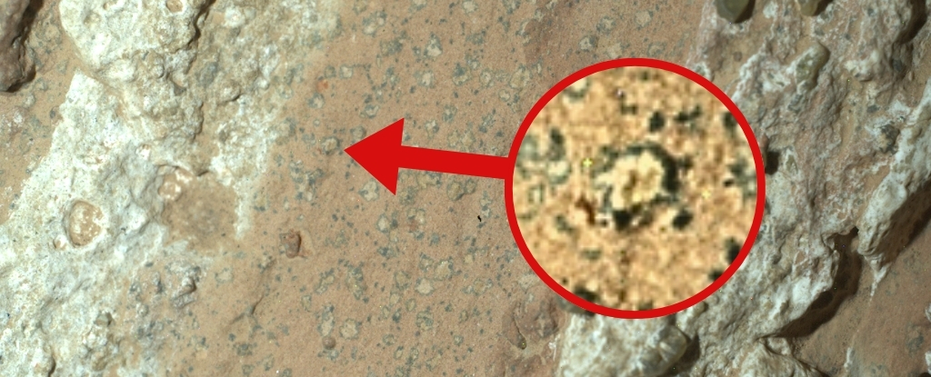 www.sciencealert.com image