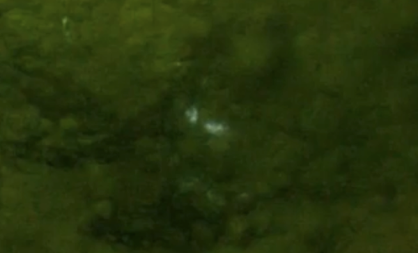 Ghostly Lights Seen For Centuries Could Have a Strange Explanation