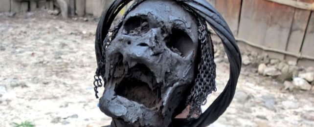 mummified dani skull