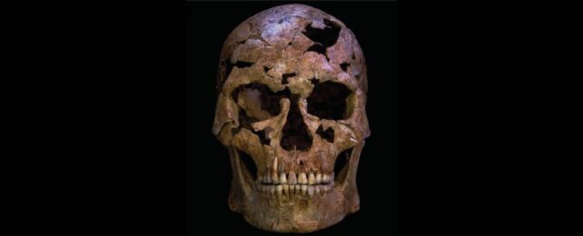 12,000-Year-Old Bones Could Be One of Earliest Known Murder Victims