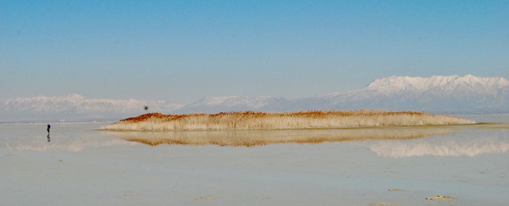 Strange Living Islands Have Appeared on The Great Salt Lake, And Now We Know Why : ScienceAlert