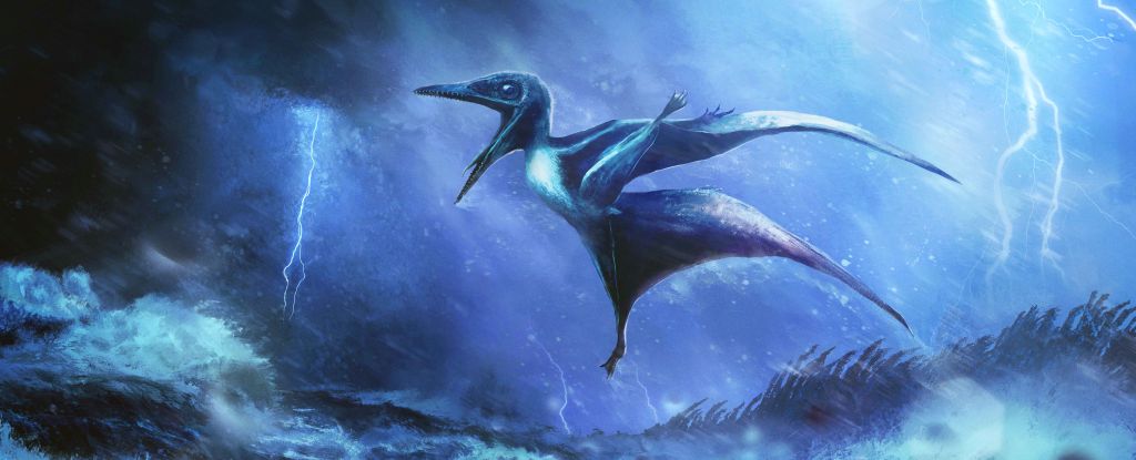 Baby Pterosaurs Killed in Violent Storm Solve 150-Million-Year Mystery
