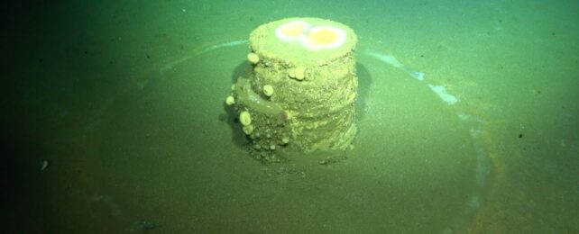Mysterious Rings at The Bottom of The Ocean Reveal a Toxic Secret