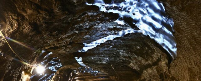 40,000-Year-Old Microbes Are Waking Up From The Thawing Permafrost