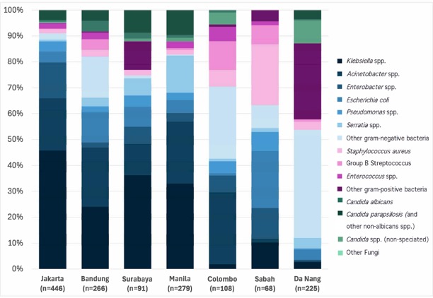 Graph showing proportion of infections caused by different types of bacteria and fungi. 