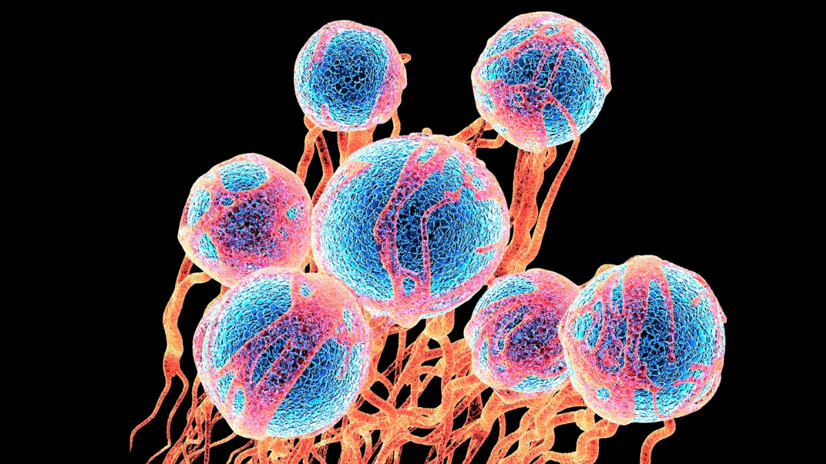 Illustration of bright blue cells with orange string surrounding them