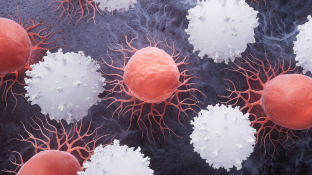 Study Suggests COVID MRNA Vaccines Help Fight Cancer Too