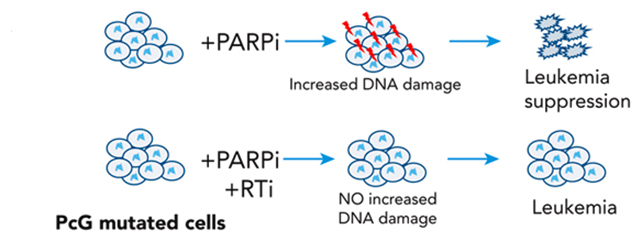 DNA cancer treatment graphic