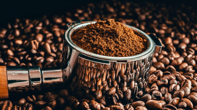 Coffee grounds in a tamp above roasted beans