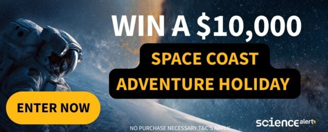 Spark Into Space: Win a $10,000 Space Coast Adventure Holiday!