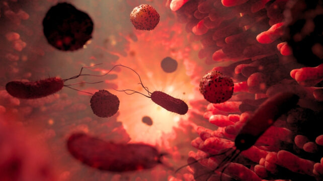 flagellum bearing microbe silhouette against lit end of a tunnel of gut cillia surrounded by other different microbes