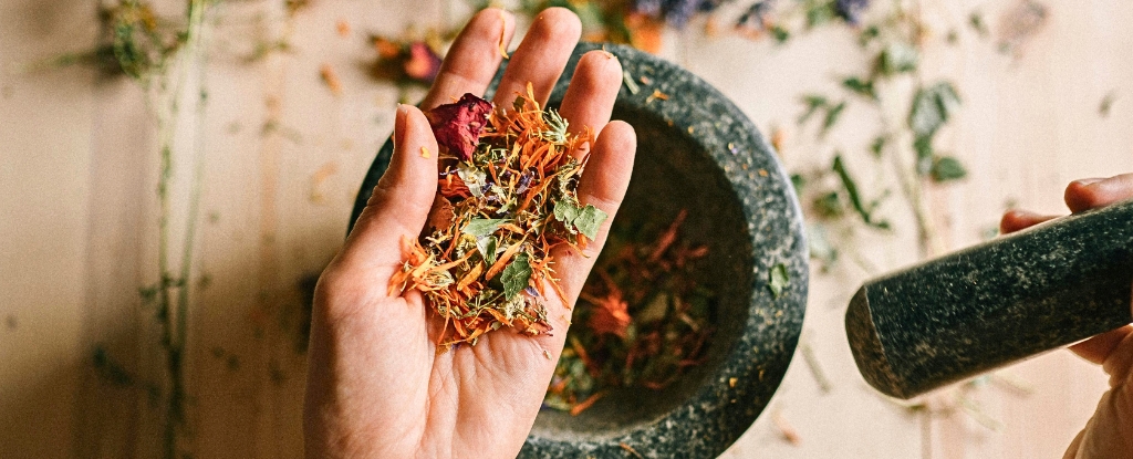 5 Common Herbs And Spices With Digestive Benefits, Backed by Science