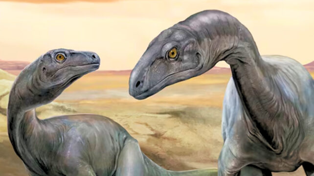 Near-Complete Fossil in Argentina Is One of The World's Oldest Dinosaurs