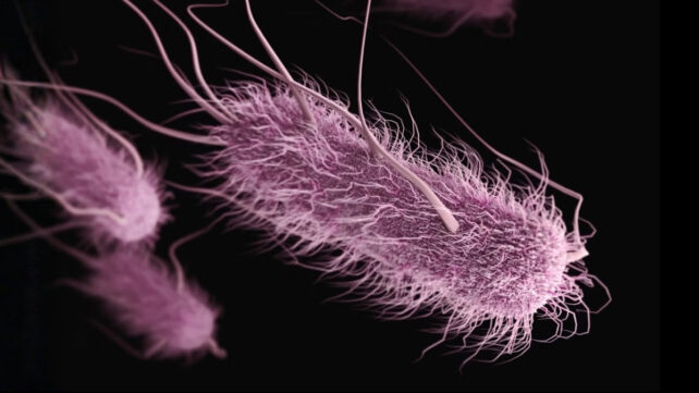1 in 5 UTIs Can Be Linked to Poor Hygiene in The Kitchen
